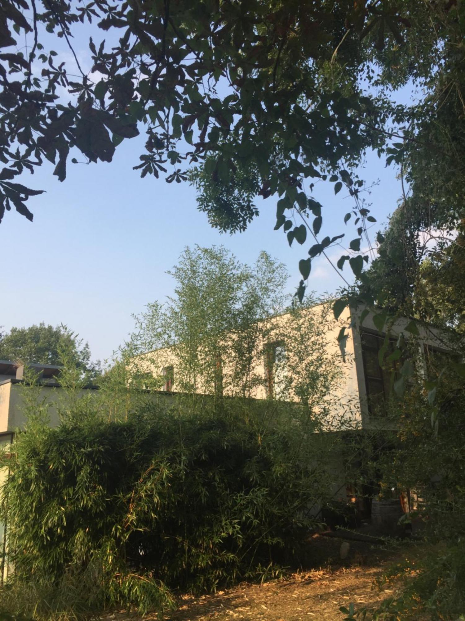 Suite Am Stift ! Wunstorf Exterior foto